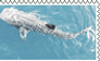 whale shark stamp