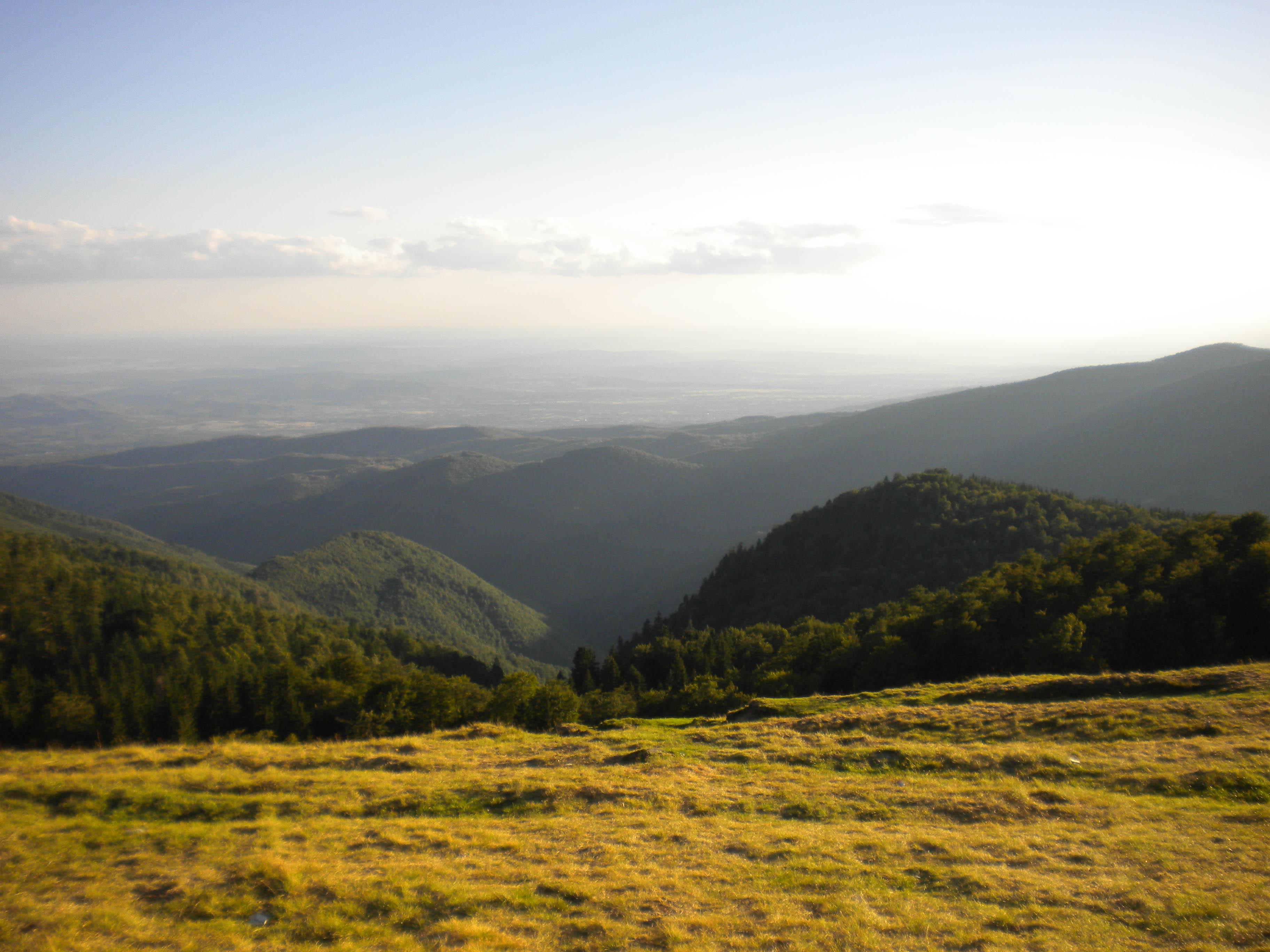 Transalpina - 1