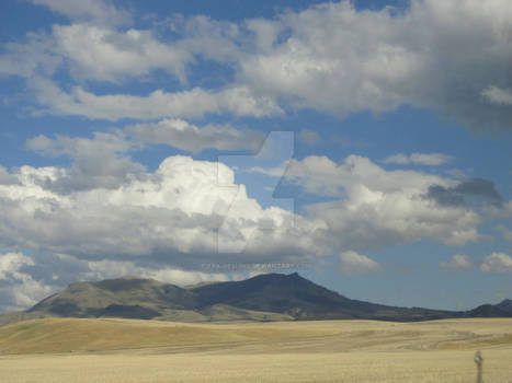 Bears Paw Mountains