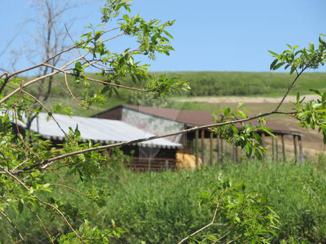 Old Haystack Barn