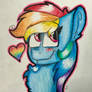 A rainbow pone