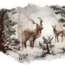 Snowy Deers
