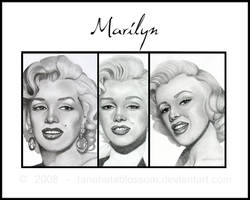 Marilyn Triptych