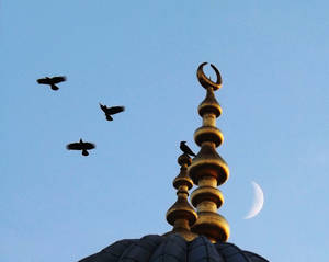 Moons - Blue Mosque