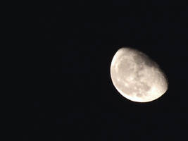 La Bella Luna Stasera