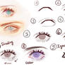 Eyes Tutorial