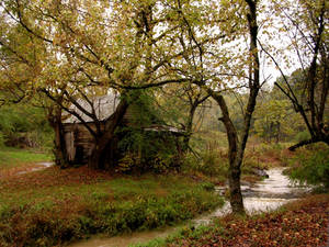 Fall Stream