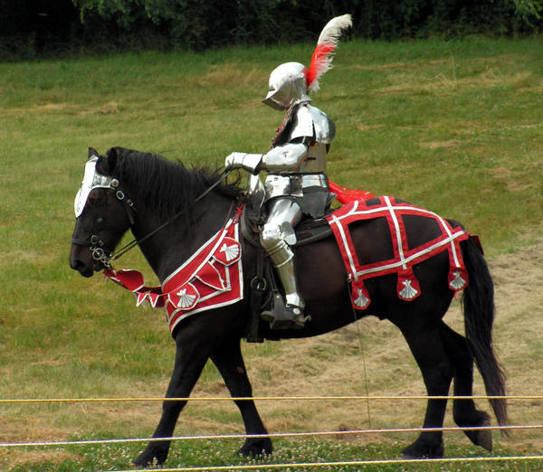 Knight At The Races A Knight II by photowizard on DeviantArt