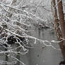 Stream in the Snow