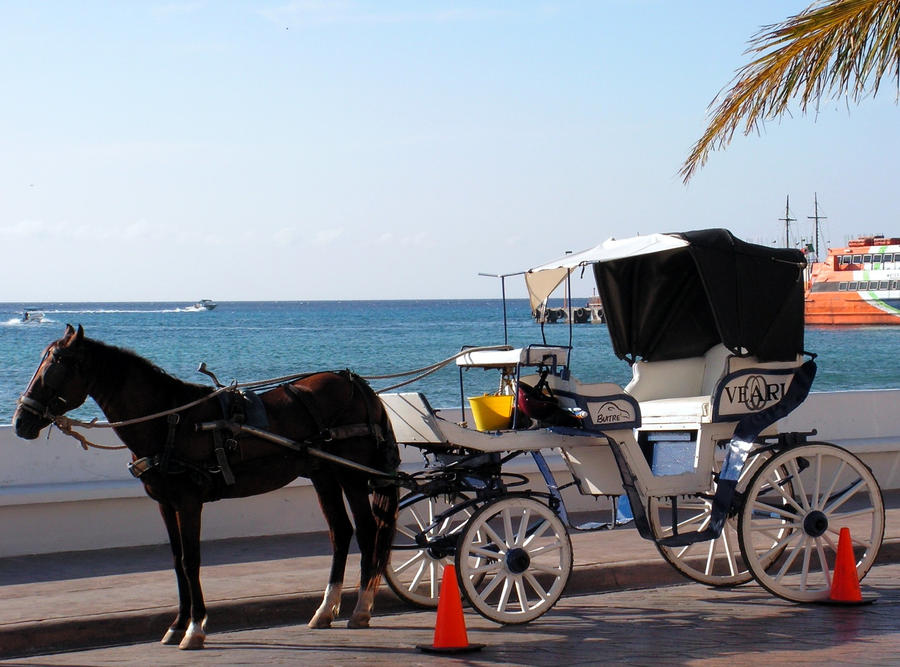 Carriage Ride by the Sea