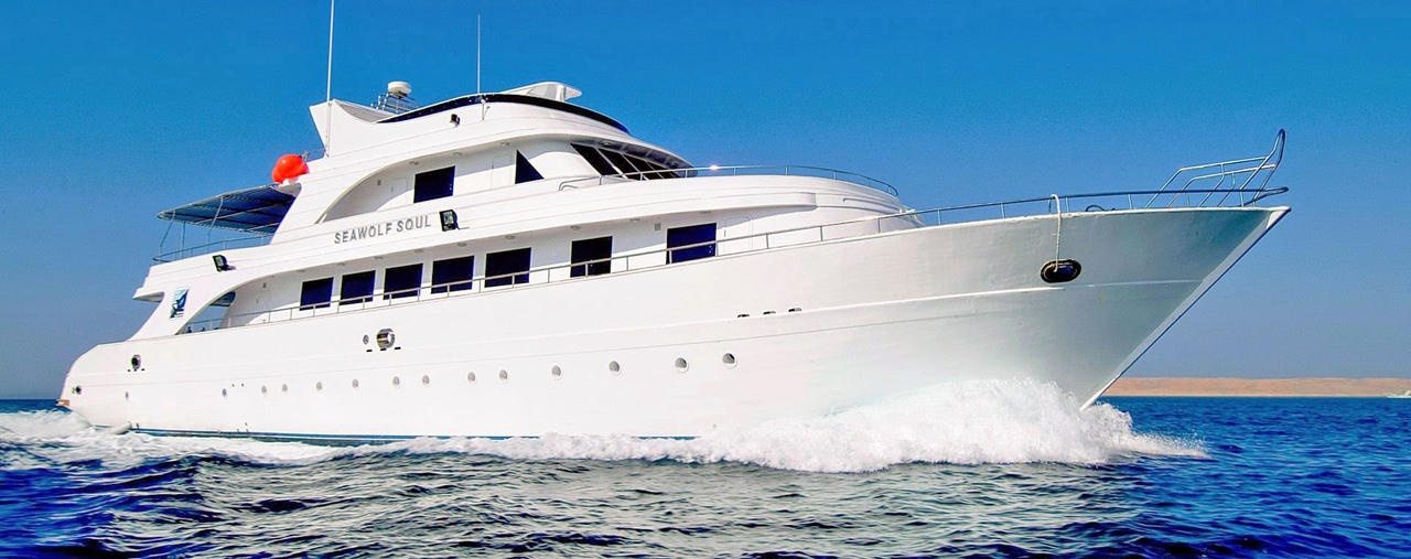 __by_professionalpickle_dl45802-fullview.jpg?token=eyJ0eXAiOiJKV1QiLCJhbGciOiJIUzI1NiJ9.eyJzdWIiOiJ1cm46YXBwOjdlMGQxODg5ODIyNjQzNzNhNWYwZDQxNWVhMGQyNmUwIiwiaXNzIjoidXJuOmFwcDo3ZTBkMTg4OTgyMjY0MzczYTVmMGQ0MTVlYTBkMjZlMCIsIm9iaiI6W1t7ImhlaWdodCI6Ijw9NTA3IiwicGF0aCI6Ii9mL2NhZTExODFiLTdhMzEtNDhlOC05ZmVmLTEwYjA3YTM1ZmIwMC9kbDQ1ODAyLWE2YzkxNzE1LTgzOTEtNDE0YS05NGQyLTQyMjA4ZWUzY2UwYi5qcGciLCJ3aWR0aCI6Ijw9MTI4MCJ9XV0sImF1ZCI6WyJ1cm46c2VydmljZTppbWFnZS5vcGVyYXRpb25zIl19