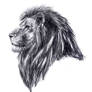 Lion Head