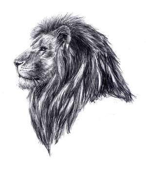 Lion Head