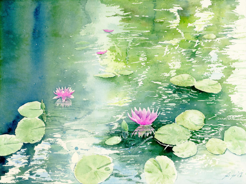 Water lily, Lotus, Watercolor painting by SuisaiGenki on DeviantArt