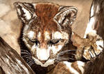 The Puma by Cyb007
