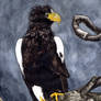 Sea Eagle