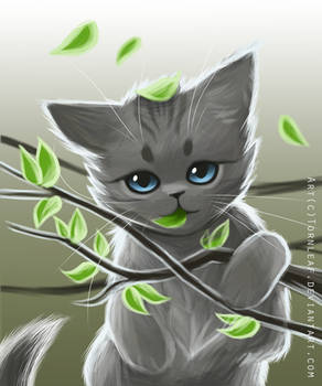 Jayfeather