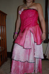 Prom Gown 2009 Pink