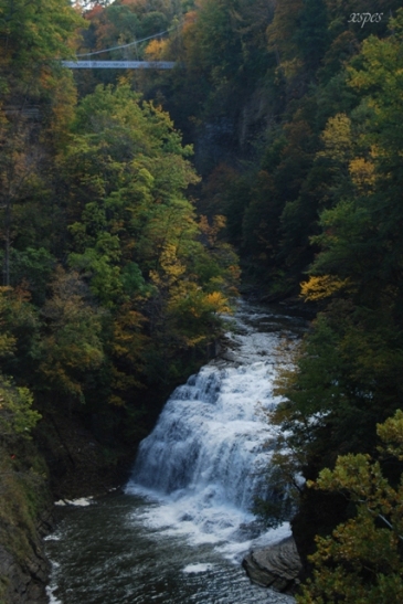 fall creek suspension bridge