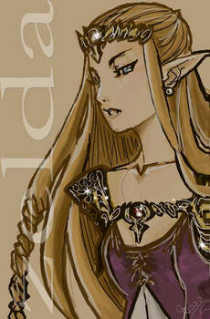 zelda twilight princess