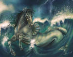 Sea horse by adanethiel