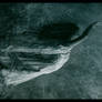 underwater