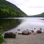 Lake in Acadia