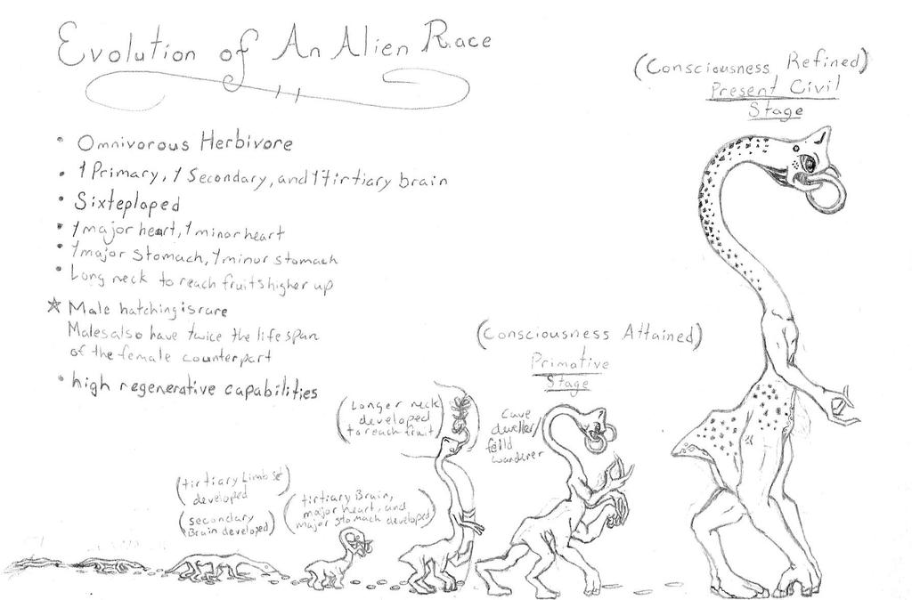 The Evolution of an Alien Race by dragonsbane15 on DeviantArt