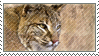 Just another taxidermy stamp