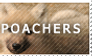 Poachers are to Blame