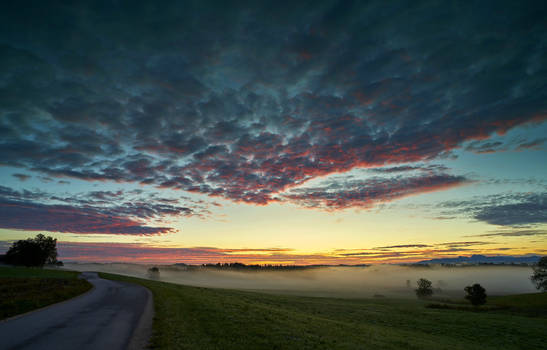 Morning Fog