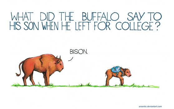 What did the buffalo say to his son when he left?