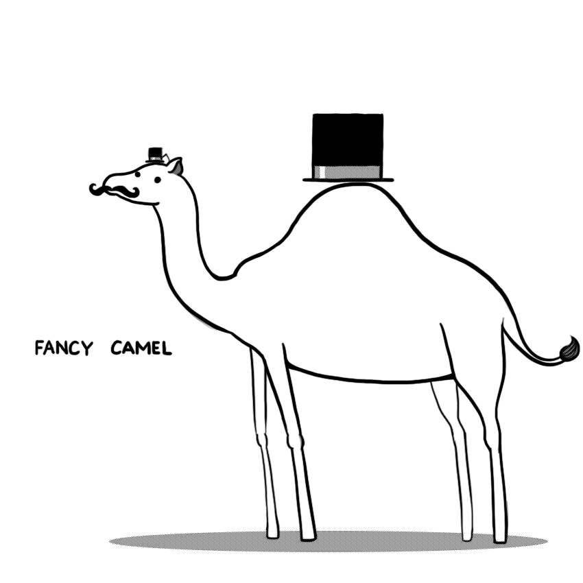 Fancy Camel