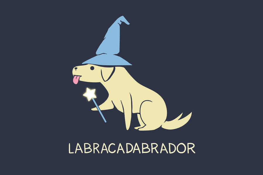 Labracadabrador