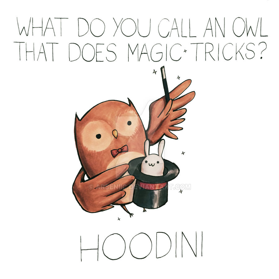 How Do You Call an Owl: Tips for Effective Owl Calls