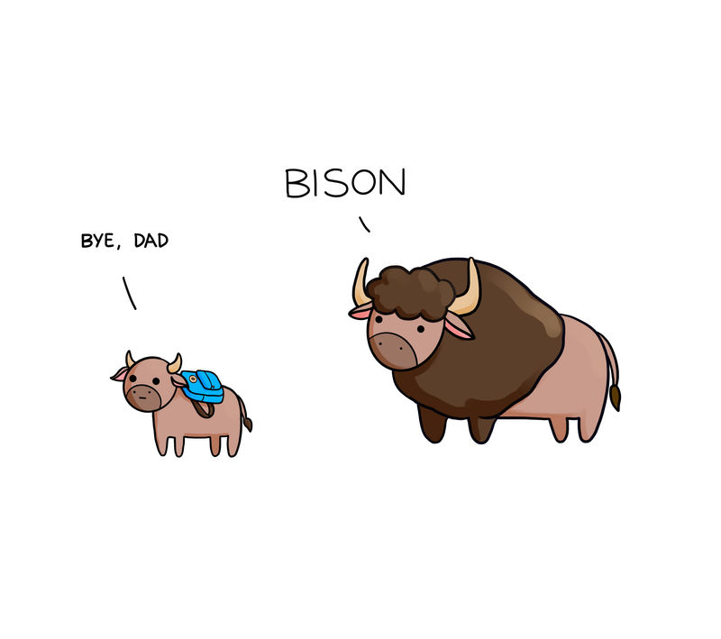 What did the buffalo say to his son when he left? by arseniic on DeviantArt