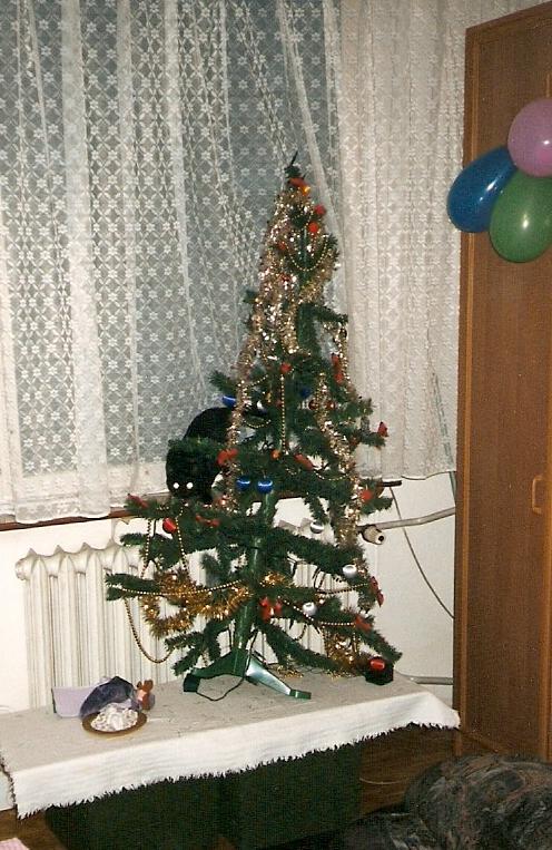 Christmas tree...