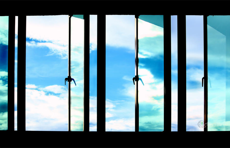 The World We Live in by ashoffeathers on DeviantArt The World We Live in by ashoffeathers on DeviantArt