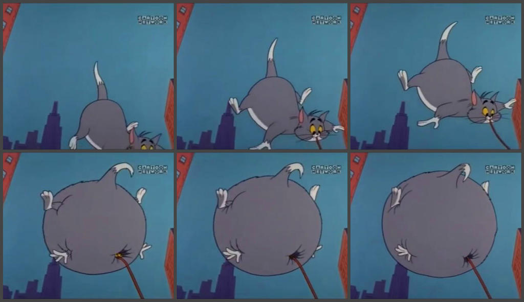 Cat Tom inflation by diom1993 on DeviantArt