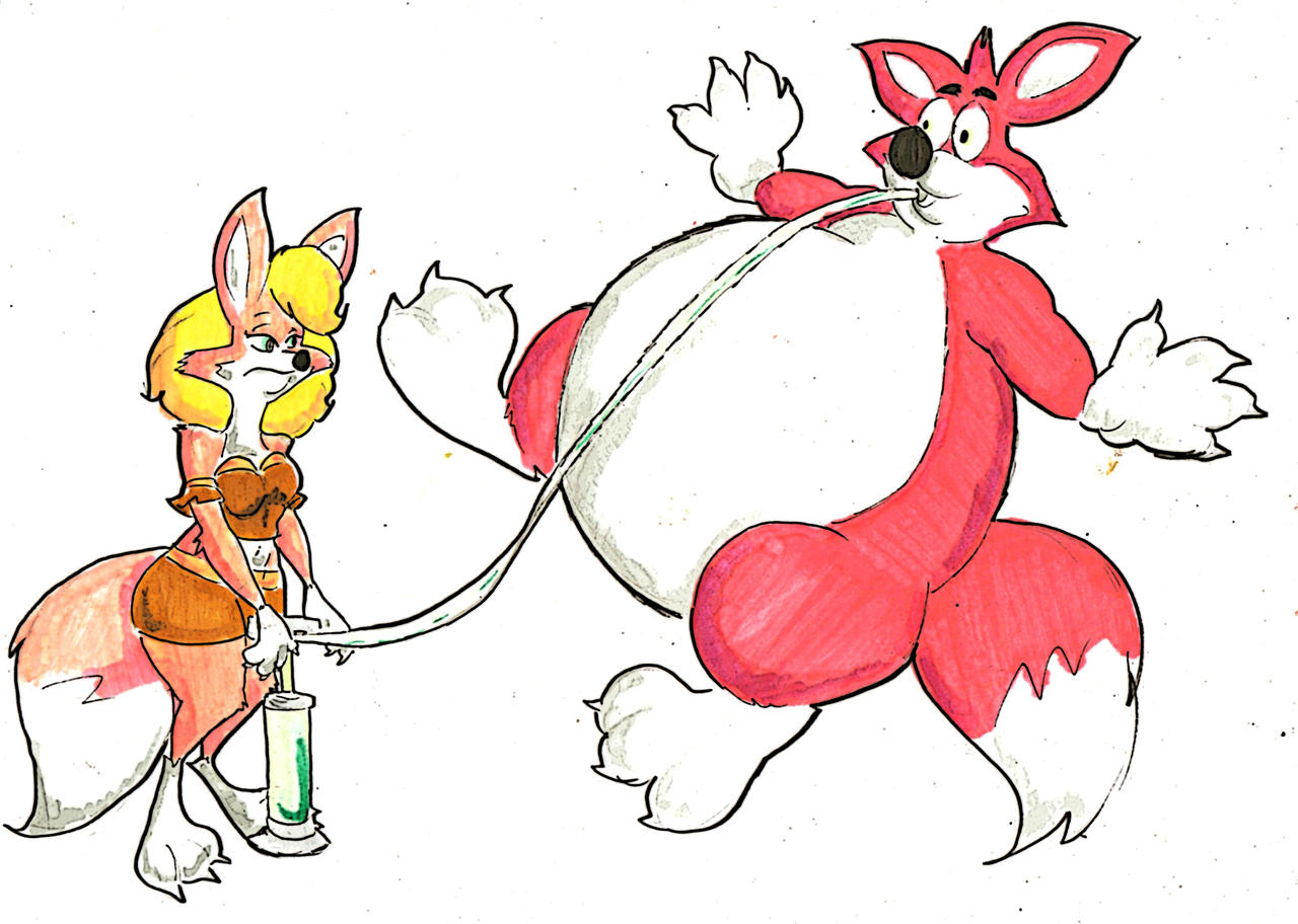Fox Inflation Fox and Foxy-Fox's Inflation by diom1993 on DeviantArt
