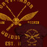 Gryffindor Quidditch