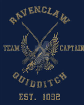 Ravenclaw Quidditch