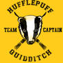 Hufflepuff Quidditch