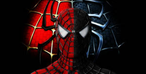Sam Raimi`s Spider-Man MMD + DL!