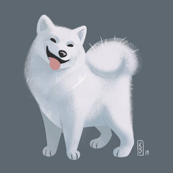 Doggust Day 1 - Samoyed