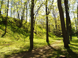 Spring on the Hills of Tartu