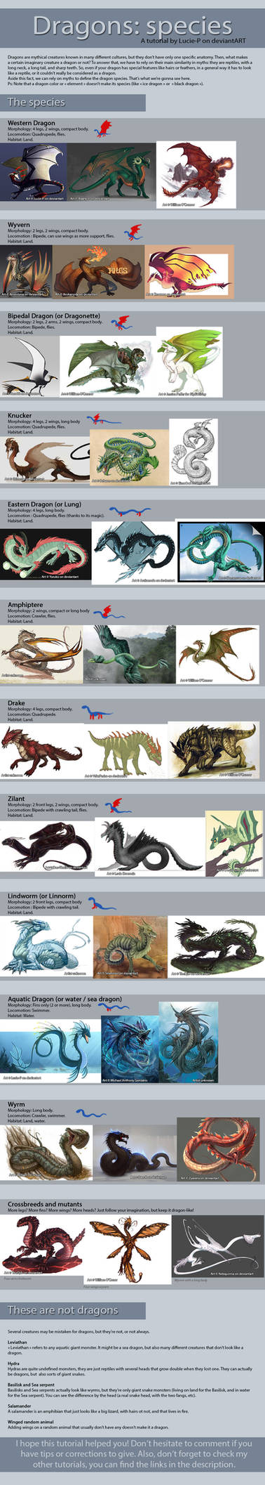 Dragon tutorial: Species by Lucie-P on DeviantArt
