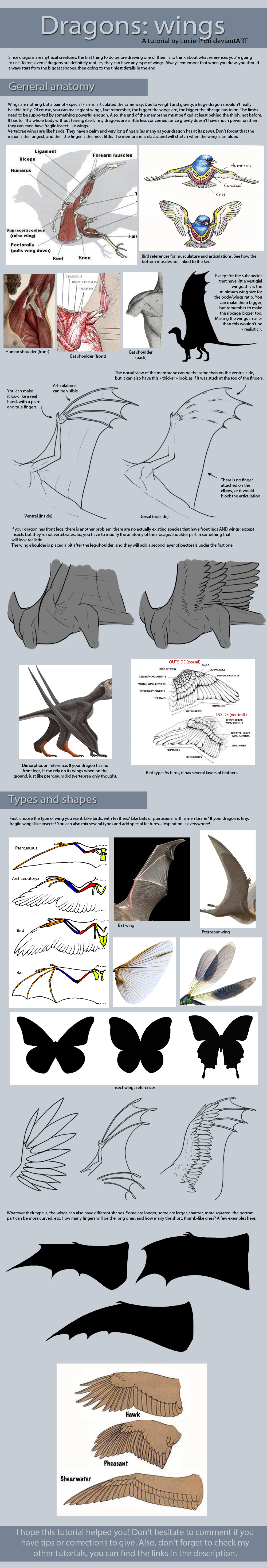 Dragon tutorial: Wings by Lucie-P