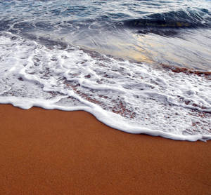 wave by emmasea wave by emmasea