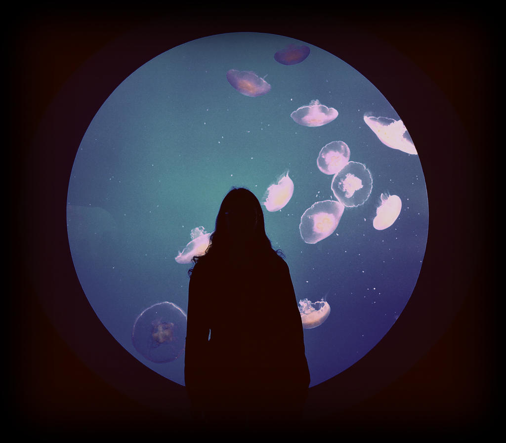 Framed by Moon Jellies by emmasea